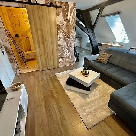 Logement Entier Au Coeur De ストラスブール エクステリア 写真