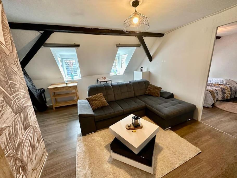 Logement Entier Au Coeur De ストラスブール エクステリア 写真