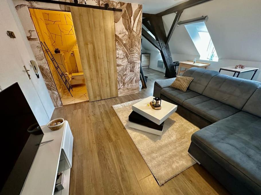 Logement Entier Au Coeur De ストラスブール エクステリア 写真